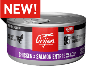 Orijen Chicken & Salmon Entrée Wet Kitten Food